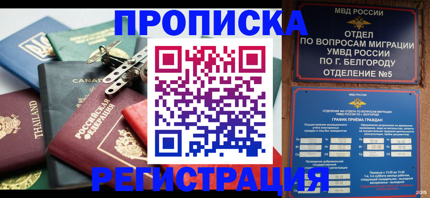 временная регистрация недорого в Миньяре